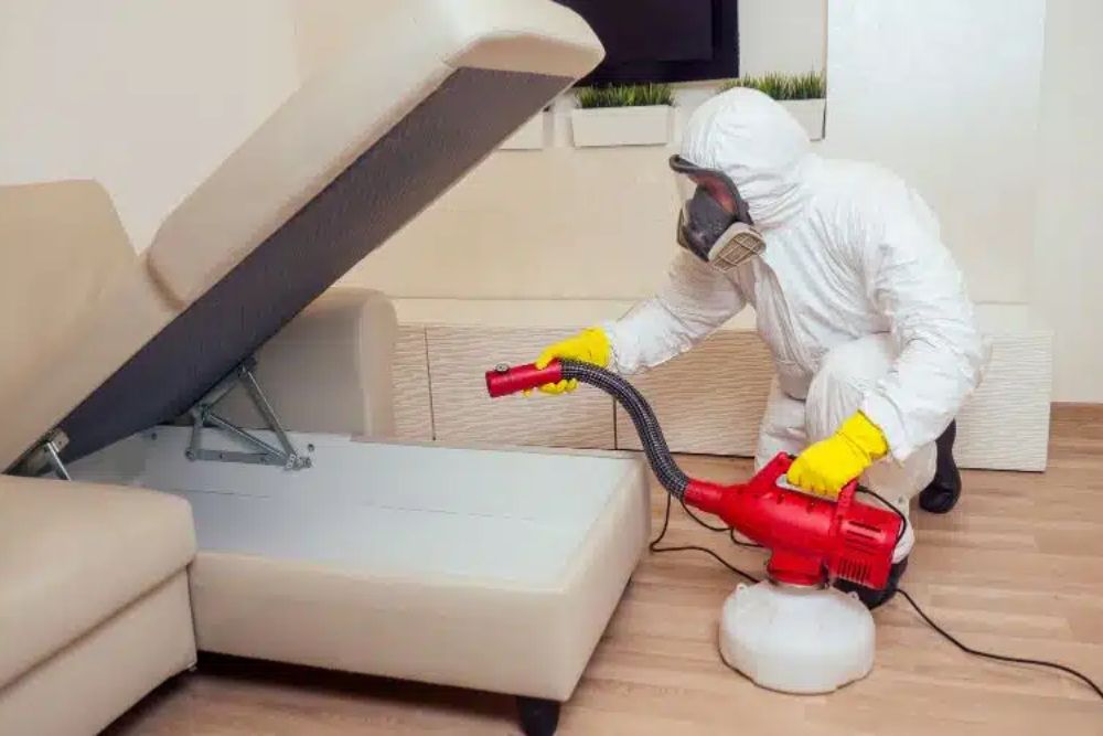 A man dressed in a white protective suit vacuums a couch, providing pest control services in Washington, DC.