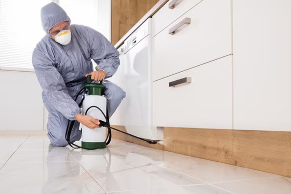 A pest control technician in protective gear sprays a kitchen floor in Washington, DC.